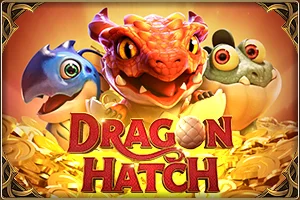 92 team Dragon Hatch​